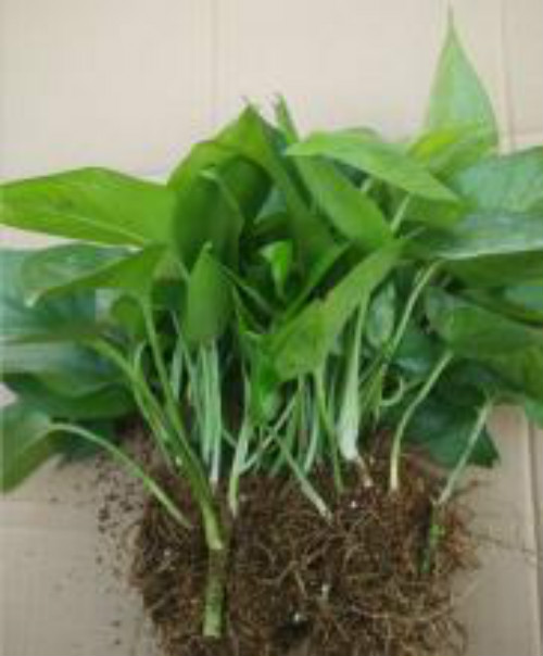 ˮ��������ô���� ����ˮ��û�������� ˮ��ת����Ҫע��ʲô