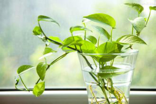 ������ôǤ�岽��ͼ�� ����Ǥ����������������ܼ��·�Ǥ�����