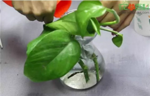 ������ôǤ�岽��ͼ�� ����Ǥ����������������ܼ��·�Ǥ�����