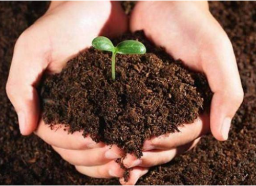 ������ôǤ�岽��ͼ�� ����Ǥ����������������ܼ��·�Ǥ�����