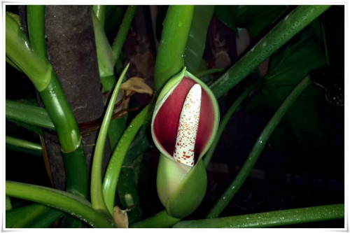 �챦ʯ����ô�� �챦ʯϲ������ֳ�������ɼ�ע���������