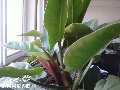 �챦ʯ����ô�� �챦ʯϲ������ֳ�������ɼ�ע���������