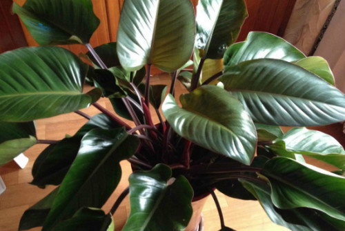 �챦ʯ����ô�� �챦ʯϲ������ֳ�������ɼ�ע���������