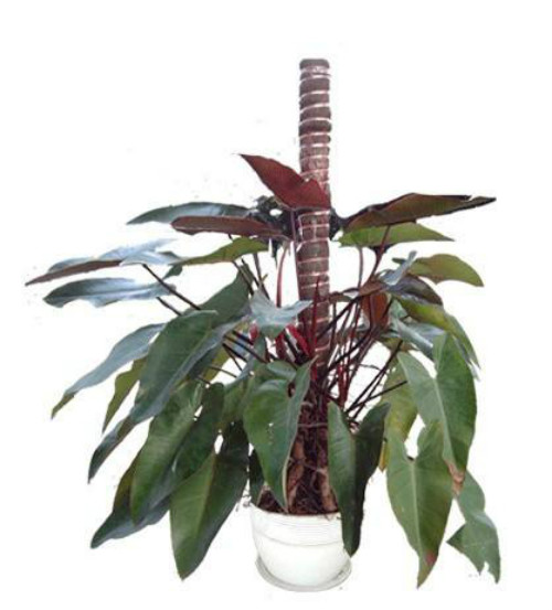 �챦ʯ����ô�� �챦ʯϲ������ֳ�������ɼ�ע���������