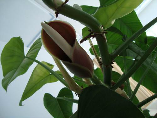 �챦ʯ����ô�� �챦ʯϲ������ֳ�������ɼ�ע���������