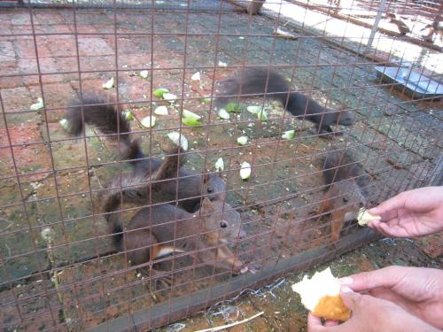 ĸƷֳֵ׬Ǯϸ̳̹Ժͽ