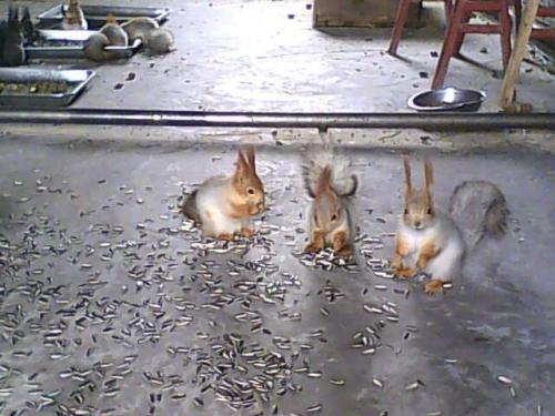 ĸƷֳֵ׬Ǯϸ̳̹Ժͽ