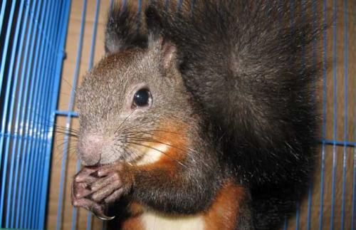 ĸƷֳֵ׬Ǯϸ̳̹Ժͽ