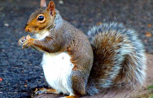 ĸƷֳֵ׬Ǯϸ̳̹Ժͽ