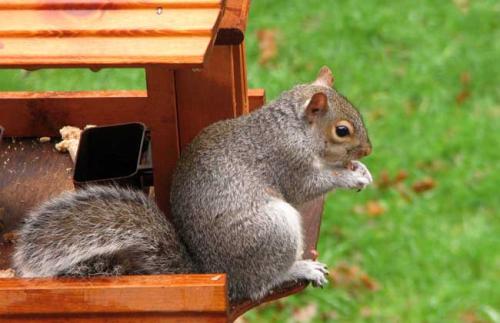 ĸƷֳֵ׬Ǯϸ̳̹Ժͽ