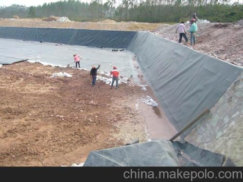 土养泥鳅和水养泥鳅具体养殖方法那个更好赚钱?