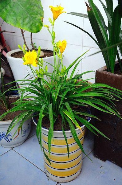 �ƻ�������̨���Ծ�����ֳ������ע��������Իƻ�����ɶ���ã�