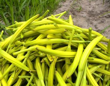 �ƻ�������̨���Ծ�����ֳ������ע��������Իƻ�����ɶ���ã�