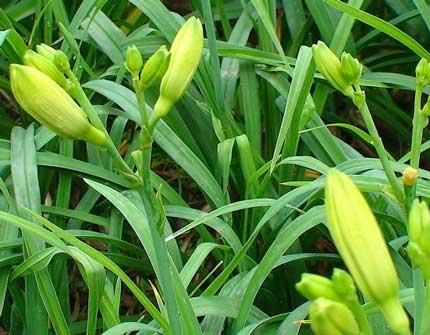 �ƻ�������̨���Ծ�����ֳ������ע��������Իƻ�����ɶ���ã�