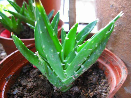 «����ô���ų��úö�ý�һ��ˮ «����ֳ������ע����������Щ