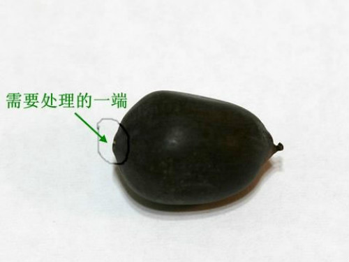 �ڼ���ô���ɻ���ֲ����ͼ��  ���Ժɻ���ô��ֲ������ע������