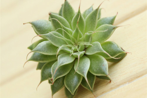 ����������ô����ֳ���������ɴ�ȫ ���Ƕ��⿪��������