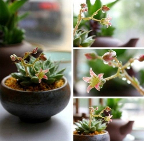 ����������ô����ֳ���������ɴ�ȫ ���Ƕ��⿪��������