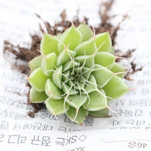 ����������ô����ֳ���������ɴ�ȫ ���Ƕ��⿪��������