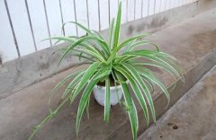 ����ˮ��û�������� ˮ����������������ô����ͼƬ