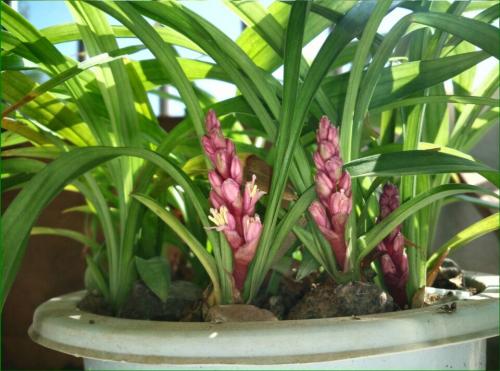 ����������ô��ֳ������ע������  ����������ô�����ͼ