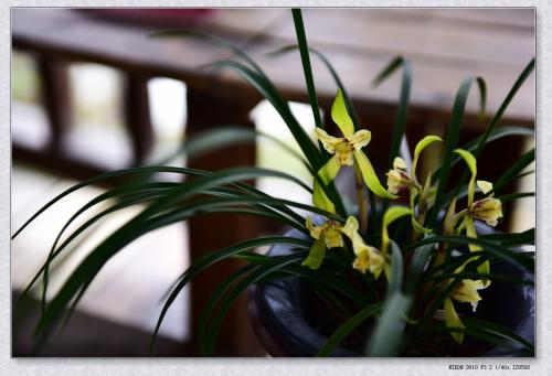 ����Ҫ��ô�����ܿ��� ��ô���������׿��� ������������ô����