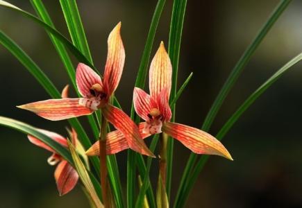 ����Ҫ��ô�����ܿ��� ��ô���������׿��� ������������ô����