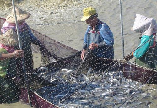 人工养殖鳗鱼赚钱吗现状和前景分析, 鳗鱼最常见的几种养殖方式