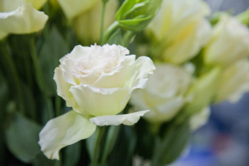 ������۹���ô����ֲ������ע������ ������۹�����������