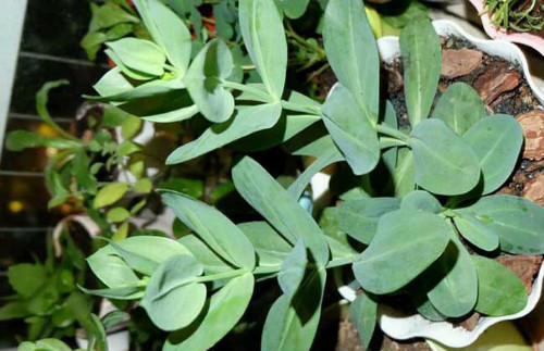 ������۹���ô����ֲ������ע������ ������۹�����������