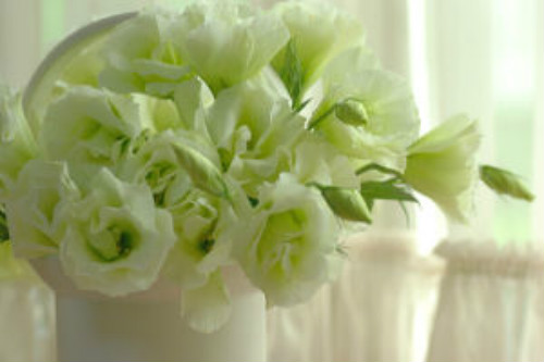 ������۹���ô����ֲ������ע������ ������۹�����������