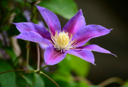 �������������Ʒ������Щ ����������ֳ������ע������