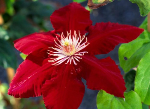 �������������Ʒ������Щ ����������ֳ������ע������