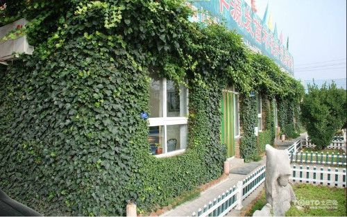 ��ɽ����ô�ֳ��ÿ� ��ɽ��������ֲ���� ��ɽ����ǽ����Ӱ����