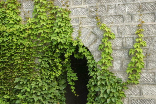 ��ɽ����ô�ֳ��ÿ� ��ɽ��������ֲ���� ��ɽ����ǽ����Ӱ����