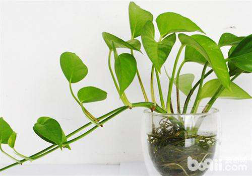 ��������ô�����ÿ� �����ٵ���ֳ������ע����������Щ