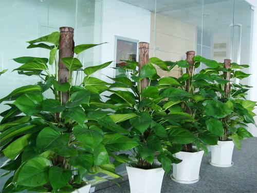 ��������ô�����ÿ� �����ٵ���ֳ������ע����������Щ