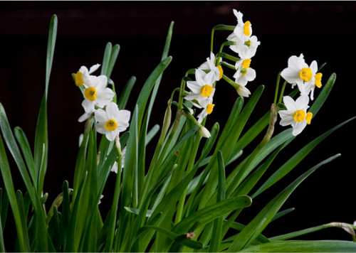 ˮ�ɻ�ˮ�෽��ͼ�� ˮ��������ô���� ˮ��ˮ��û��������