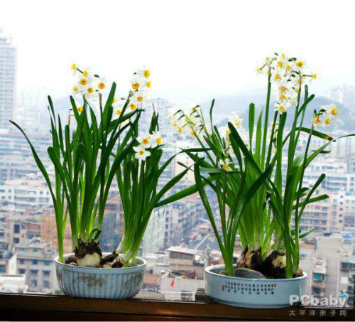 ˮ�ɻ�ˮ�෽��ͼ�� ˮ��������ô���� ˮ��ˮ��û��������