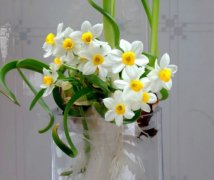 ˮ�ɻ�ˮ�෽��ͼ�� ˮ��������ô���� ˮ��ˮ��û��������