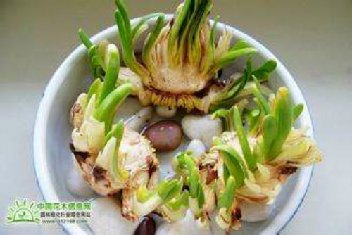 ˮ�ɻ�ˮ�෽��ͼ�� ˮ��������ô���� ˮ��ˮ��û��������