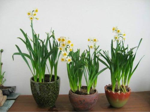 ˮ�ɻ�ˮ�෽��ͼ�� ˮ��������ô���� ˮ��ˮ��û��������