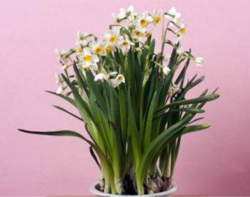 ˮ�ɻ�ˮ�෽��ͼ�� ˮ��������ô���� ˮ��ˮ��û��������