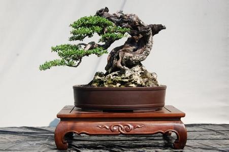 �����ɴ�Լ����Ǯ���������޼�ͼ�� �����ɵ���ֳ������ע������