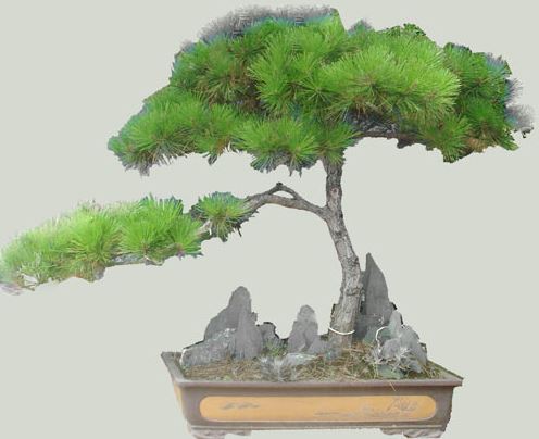 �����ɴ�Լ����Ǯ���������޼�ͼ�� �����ɵ���ֳ������ע������