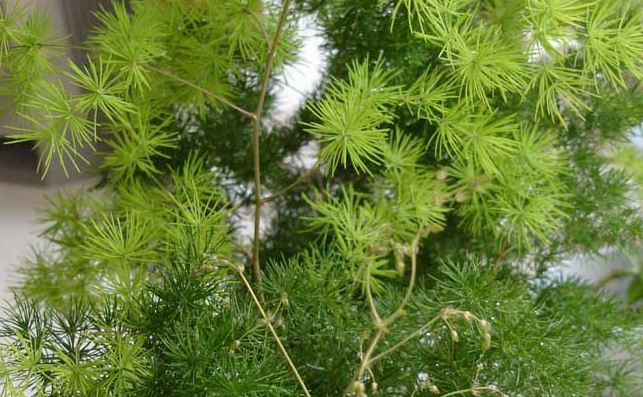 �����ɴ�Լ����Ǯ���������޼�ͼ�� �����ɵ���ֳ������ע������