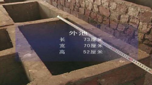 竹鼠跟老鼠有什么区别?竹鼠养殖场地建设图片