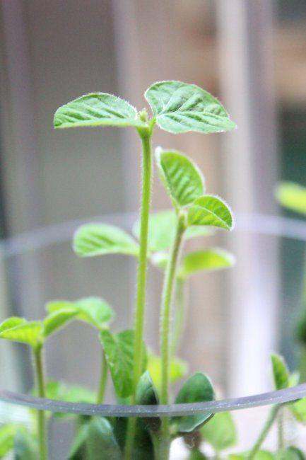 ����ˮ��춹��������Щͼ�� �춹��ôˮ��С����ˮ��ƿ��ô��