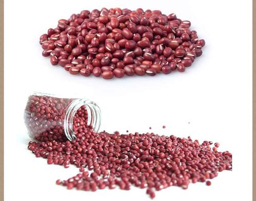 红豆炒熟了有什么功效与作用禁忌 经常吃红豆好处和坏处是什么