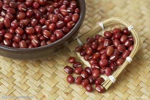 红豆炒熟了有什么功效与作用禁忌 经常吃红豆好处和坏处是什么